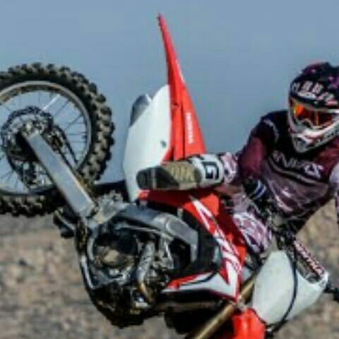 Foto de MX NORDESTE 🏆